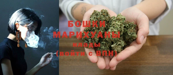 метадон Няндома