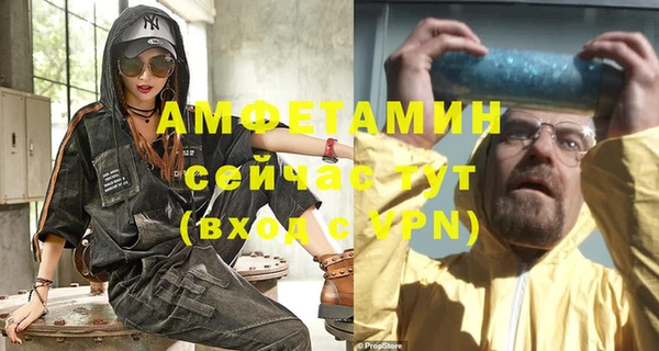 эйфоретик Вяземский