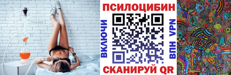 наркота  Ивдель  Псилоцибиновые грибы мицелий 